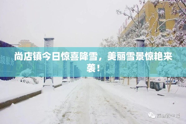 尚店鎮(zhèn)今日驚喜降雪，美麗雪景驚艷來襲！