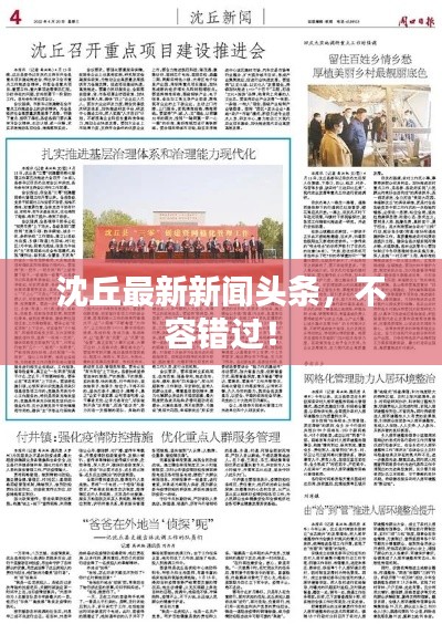 沈丘最新新聞頭條，不容錯過！