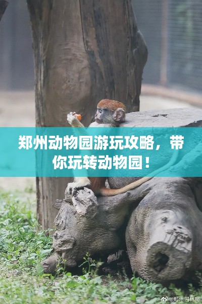 鄭州動(dòng)物園游玩攻略，帶你玩轉(zhuǎn)動(dòng)物園！