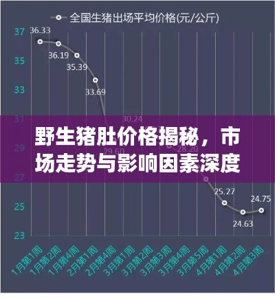 野生豬肚價格揭秘，市場走勢與影響因素深度解析