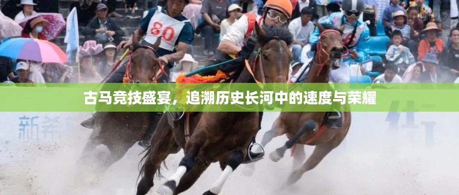 古馬競技盛宴，追溯歷史長河中的速度與榮耀