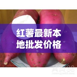 紅薯最新本地批發(fā)價(jià)格表曝光