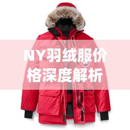 NY羽絨服價(jià)格深度解析，了解真實(shí)價(jià)格，選購更明智！