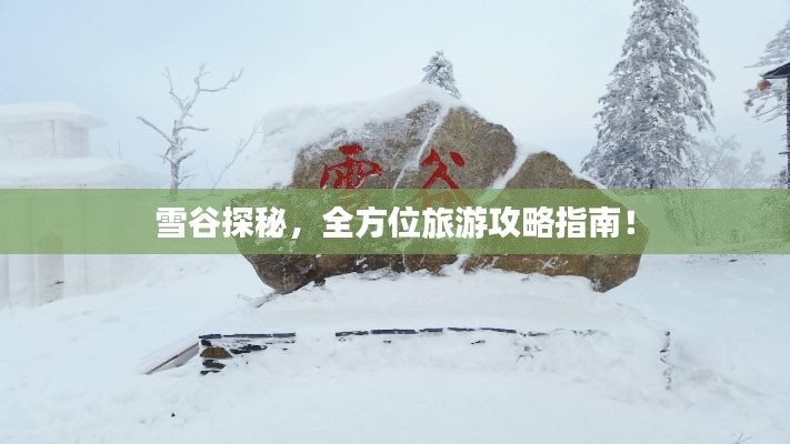 雪谷探秘，全方位旅游攻略指南！