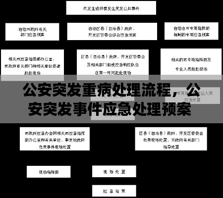 公安突發(fā)重病處理流程，公安突發(fā)事件應急處理預案 