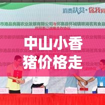 中山小香豬價格走勢大揭秘，最新行情分析！