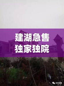 建湖急售獨家獨院，建湖哪里有30到40萬的房子 