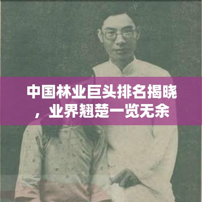 中國林業(yè)巨頭排名揭曉，業(yè)界翹楚一覽無余