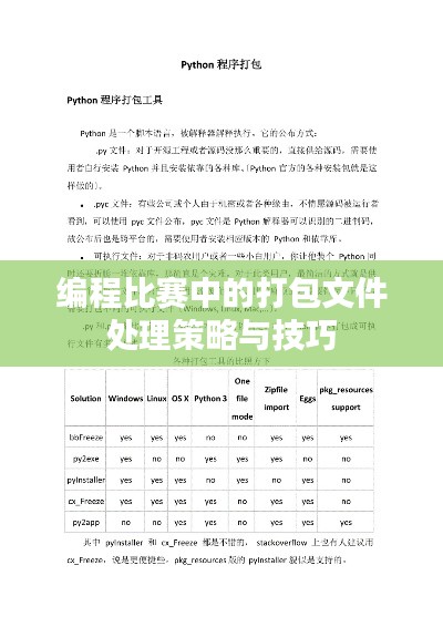 編程比賽中的打包文件處理策略與技巧