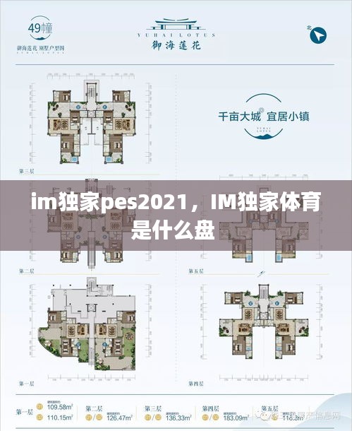 im獨(dú)家pes2021，IM獨(dú)家體育是什么盤 