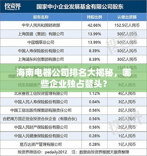 海南電器公司排名大揭秘，哪些企業(yè)獨(dú)占鰲頭？