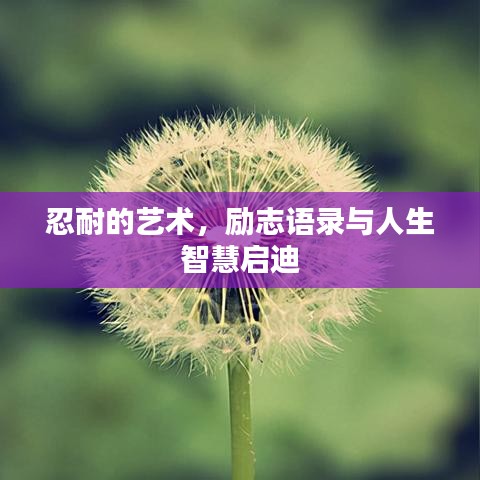 忍耐的藝術(shù)，勵志語錄與人生智慧啟迪