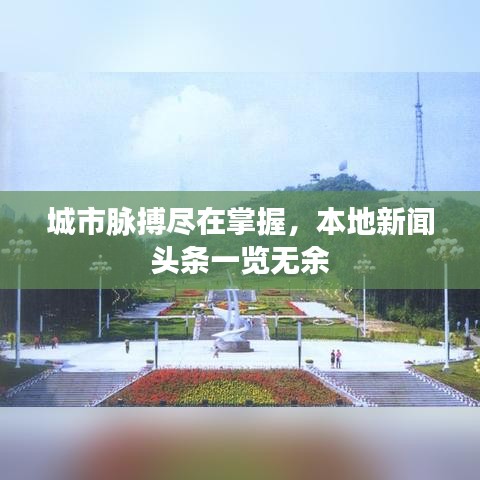 城市脈搏盡在掌握，本地新聞頭條一覽無余