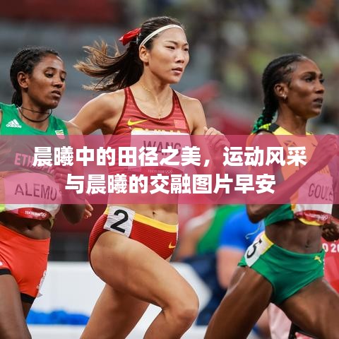 晨曦中的田徑之美，運動風采與晨曦的交融圖片早安