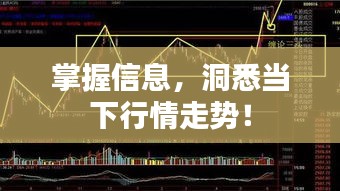 掌握信息，洞悉當下行情走勢！