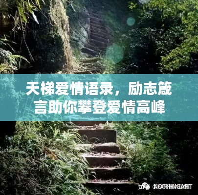 天梯愛情語錄，勵志箴言助你攀登愛情高峰