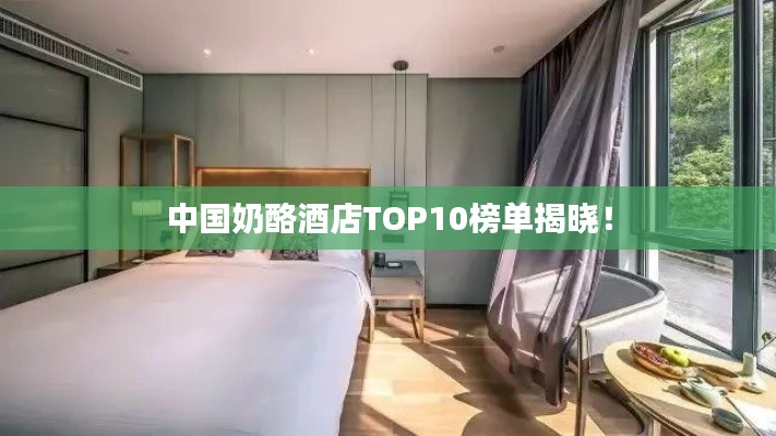 中國(guó)奶酪酒店TOP10榜單揭曉！