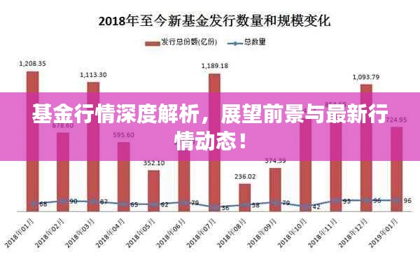 基金行情深度解析，展望前景與最新行情動態(tài)！