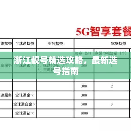 浙江靚號精選攻略，最新選號指南