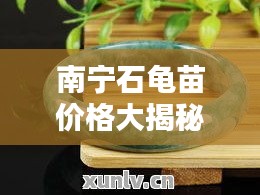 南寧石龜苗價(jià)格大揭秘，最新行情分析！