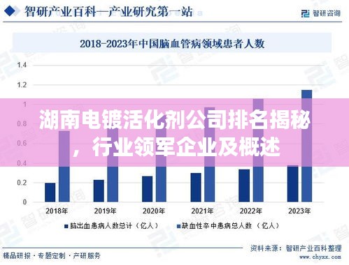 湖南電鍍活化劑公司排名揭秘，行業(yè)領(lǐng)軍企業(yè)及概述