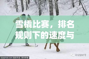 雪橇比賽，排名規(guī)則下的速度與激情角逐