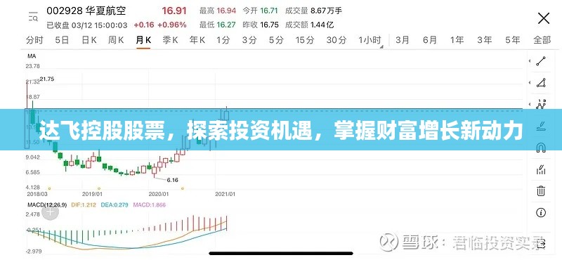 達(dá)飛控股股票，探索投資機(jī)遇，掌握財富增長新動力