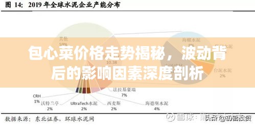 包心菜價(jià)格走勢(shì)揭秘，波動(dòng)背后的影響因素深度剖析