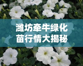 濰坊牽牛綠化苗行情大揭秘，最新價格分析與趨勢預(yù)測