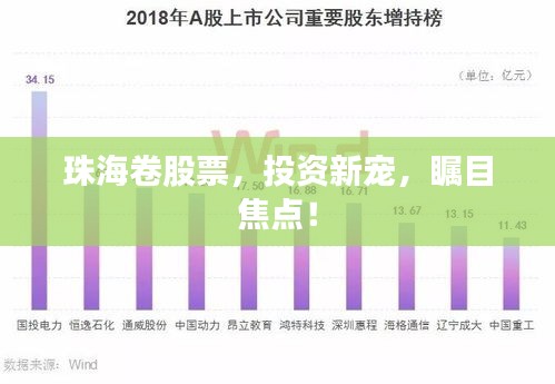 珠海卷股票，投資新寵，矚目焦點(diǎn)！
