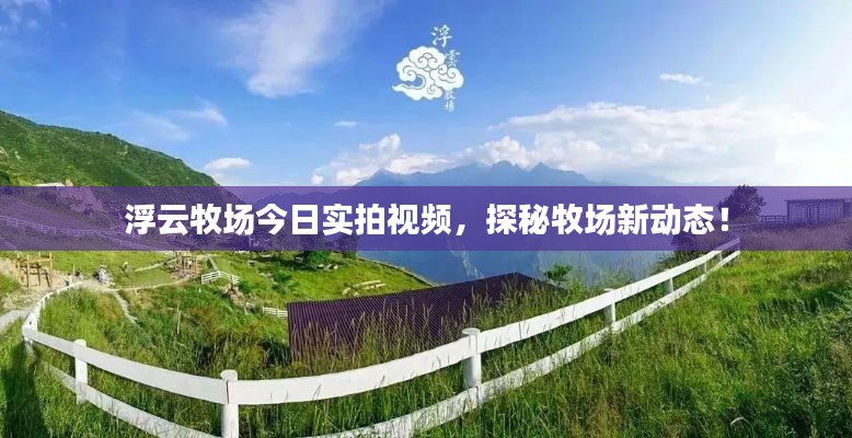 浮云牧場(chǎng)今日實(shí)拍視頻，探秘牧場(chǎng)新動(dòng)態(tài)！