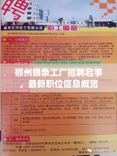 鄂州錫條工廠招聘啟事，最新職位信息概覽