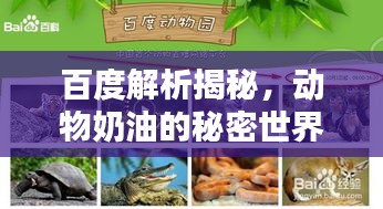 百度解析揭秘，動物奶油的秘密世界！