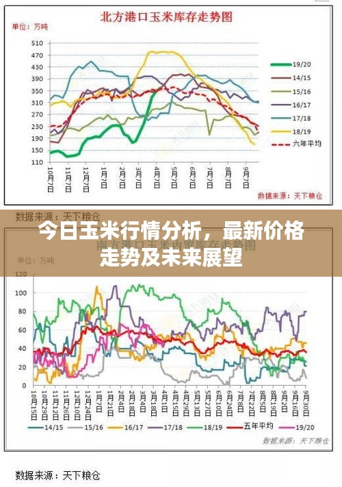 今日玉米行情分析，最新價格走勢及未來展望