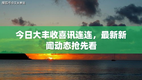 今日大豐收喜訊連連，最新新聞動態(tài)搶先看