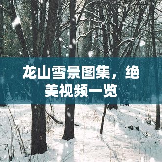 龍山雪景圖集，絕美視頻一覽