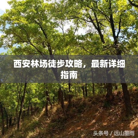 西安林場(chǎng)徒步攻略，最新詳細(xì)指南