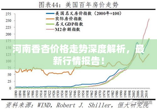 河南香杏價格走勢深度解析，最新行情報告！