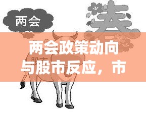 兩會政策動向與股市反應(yīng)，市場走勢揭秘，投資機(jī)會前瞻