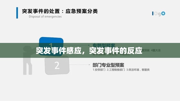 突發(fā)事件感應(yīng)，突發(fā)事件的反應(yīng) 