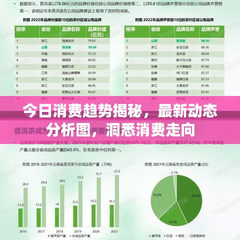 今日消費趨勢揭秘，最新動態(tài)分析圖，洞悉消費走向