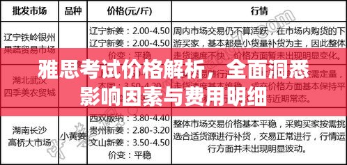 雅思考試價(jià)格解析，全面洞悉影響因素與費(fèi)用明細(xì)